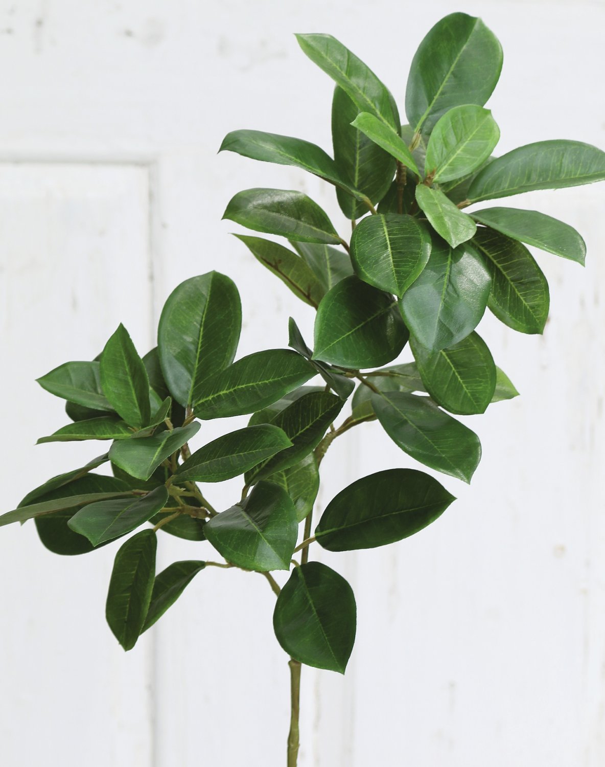 Rama de viburno de plástico, 71 cm, verde Rama de viburno de plástico, 71 cm, verde