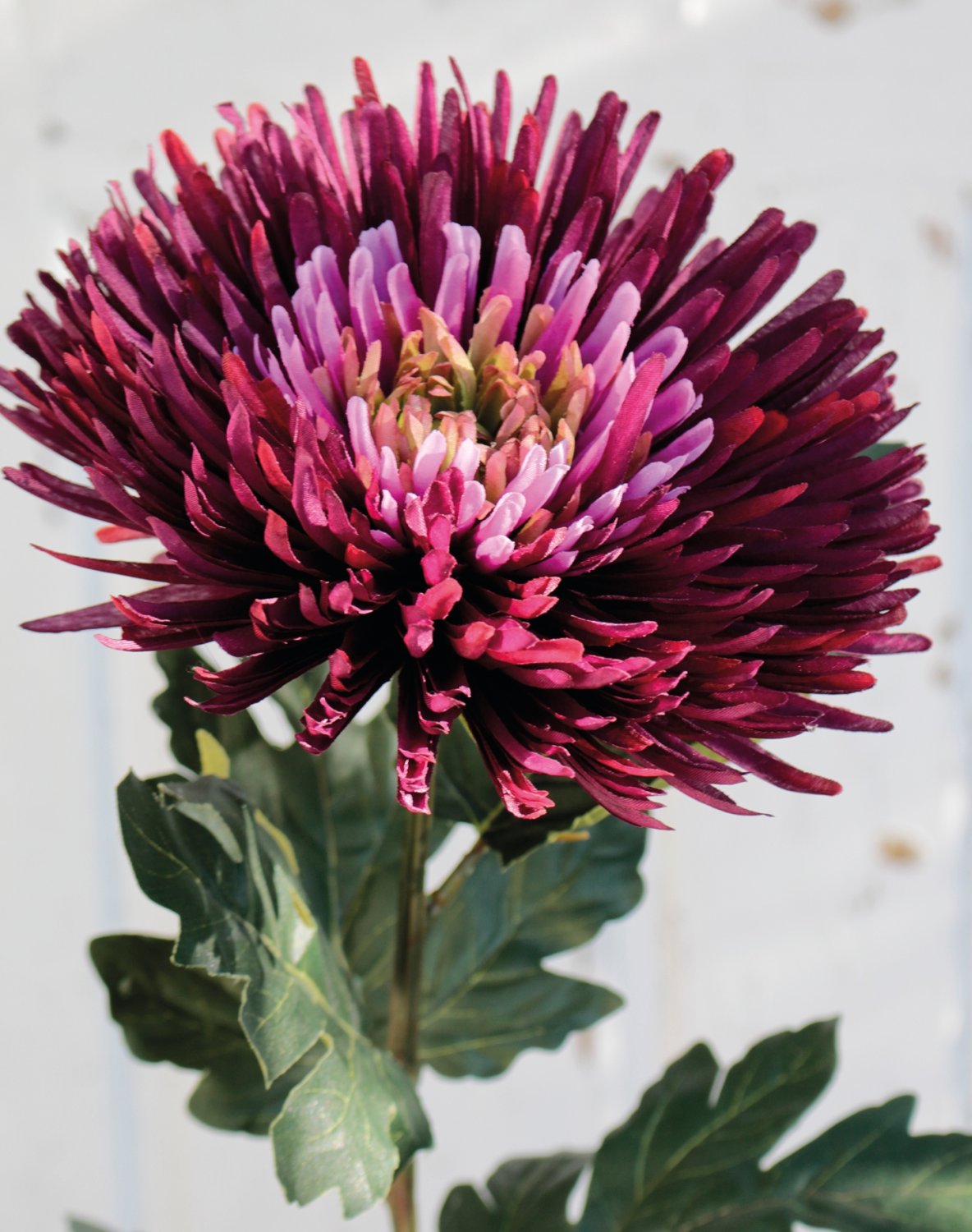 Künstliche Chrysantheme, 88 cm, trendy purple