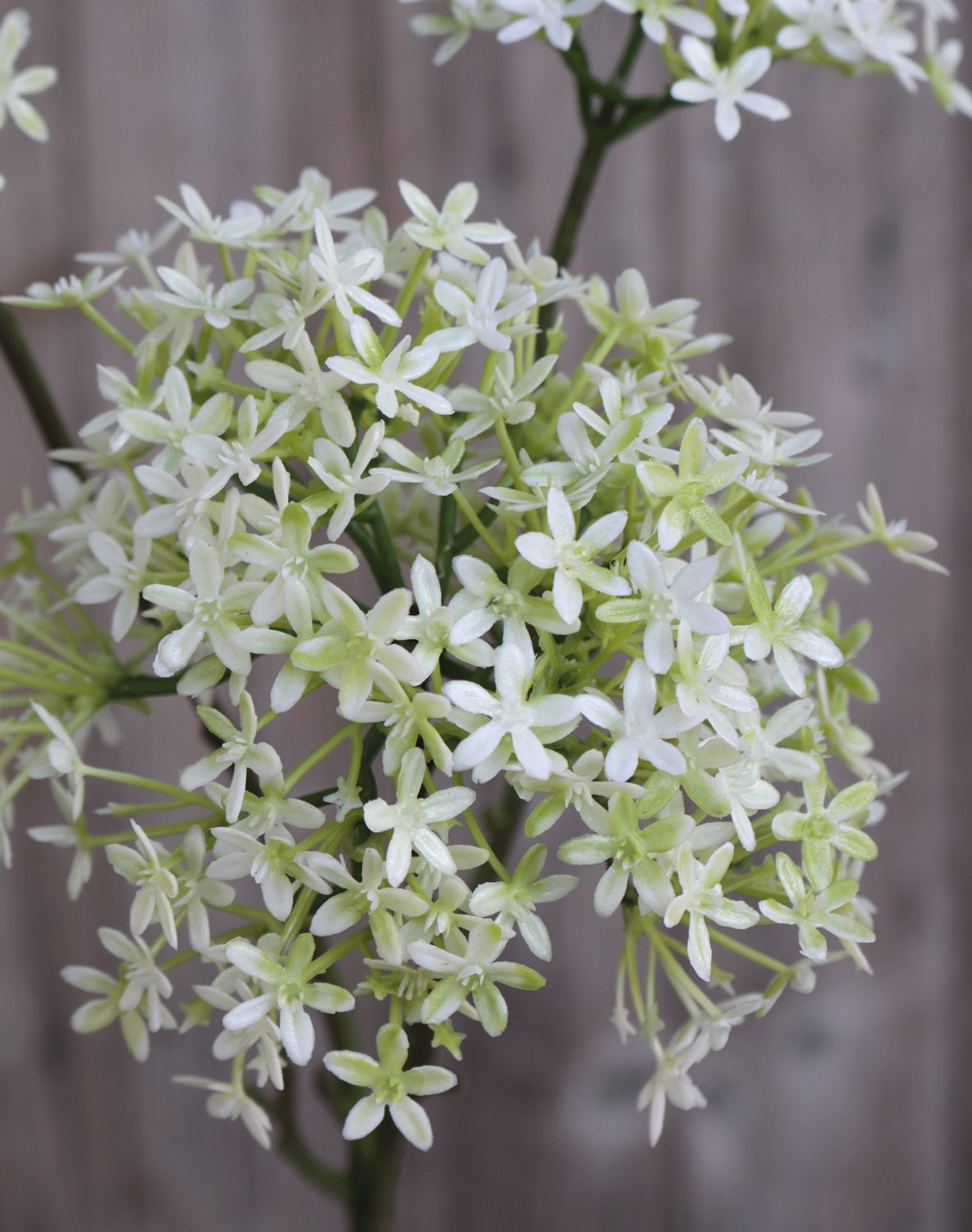 Künstliche Kronenblume, 3-fach, 76 cm, weiß-grün