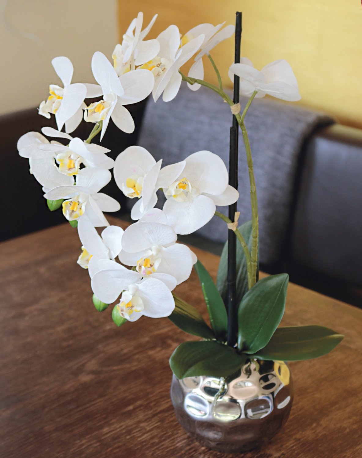 Orquídea de seda Phalaenopsis, 2 tallos, 45 cm, tacto real, blanco crema Orquídea de seda Phalaenopsis, 2 tallos, 45 cm, tacto real, blanco crema