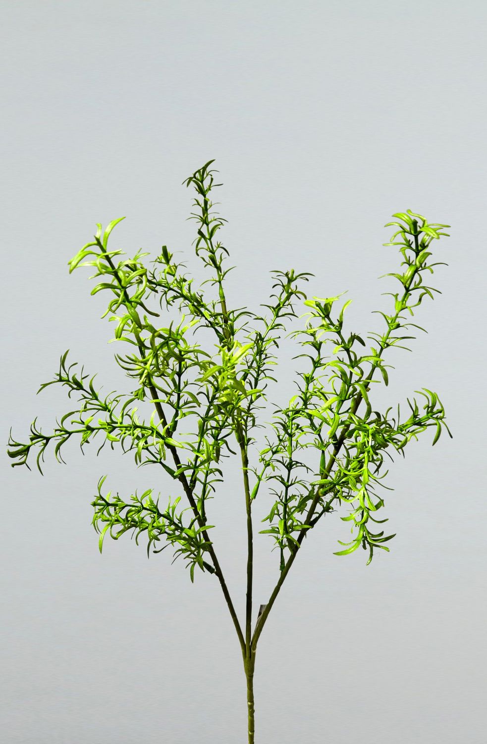 Rama de romero artificial, 76 cm, verde