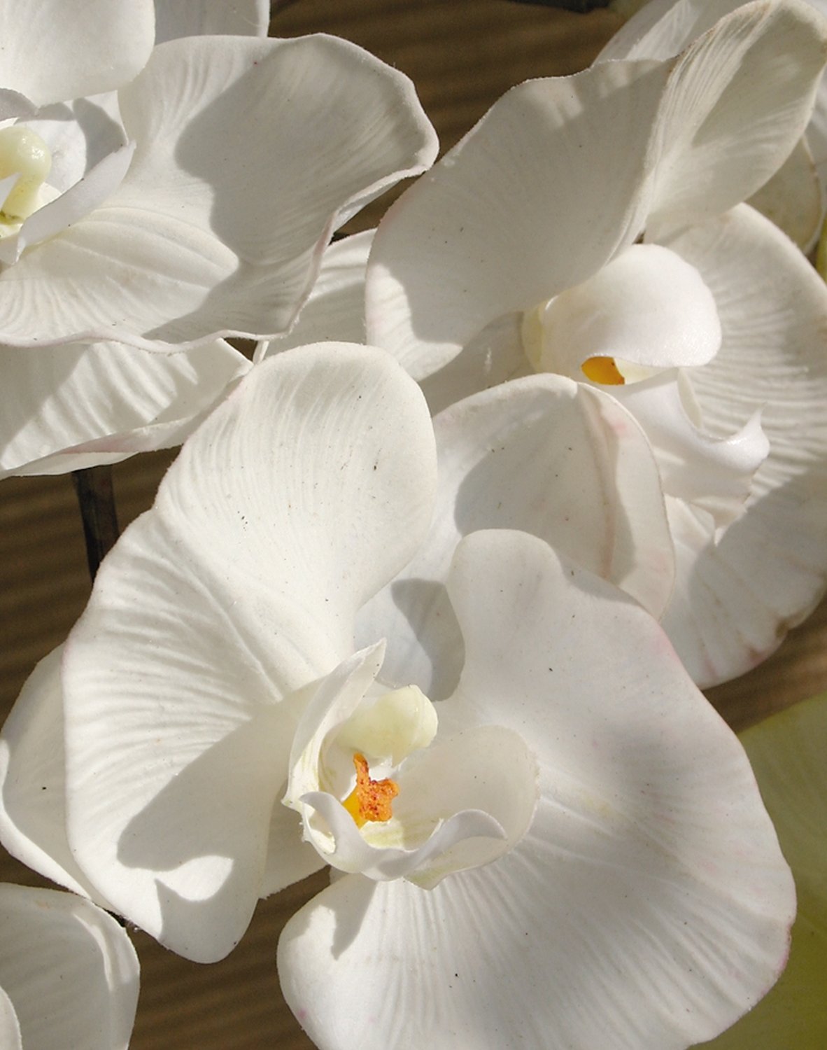 Orchidea Phalaenopsis artificiale, 103 cm, Real Touch, bianco puro