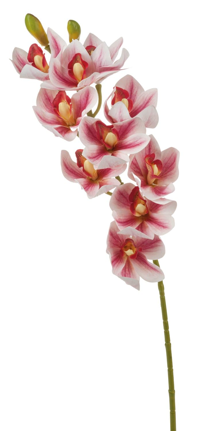 Künstliche Orchidee Cymbidium mit 10 Blüten, 74 cm, Ø 9 cm, Real Touch, rosa-weiß