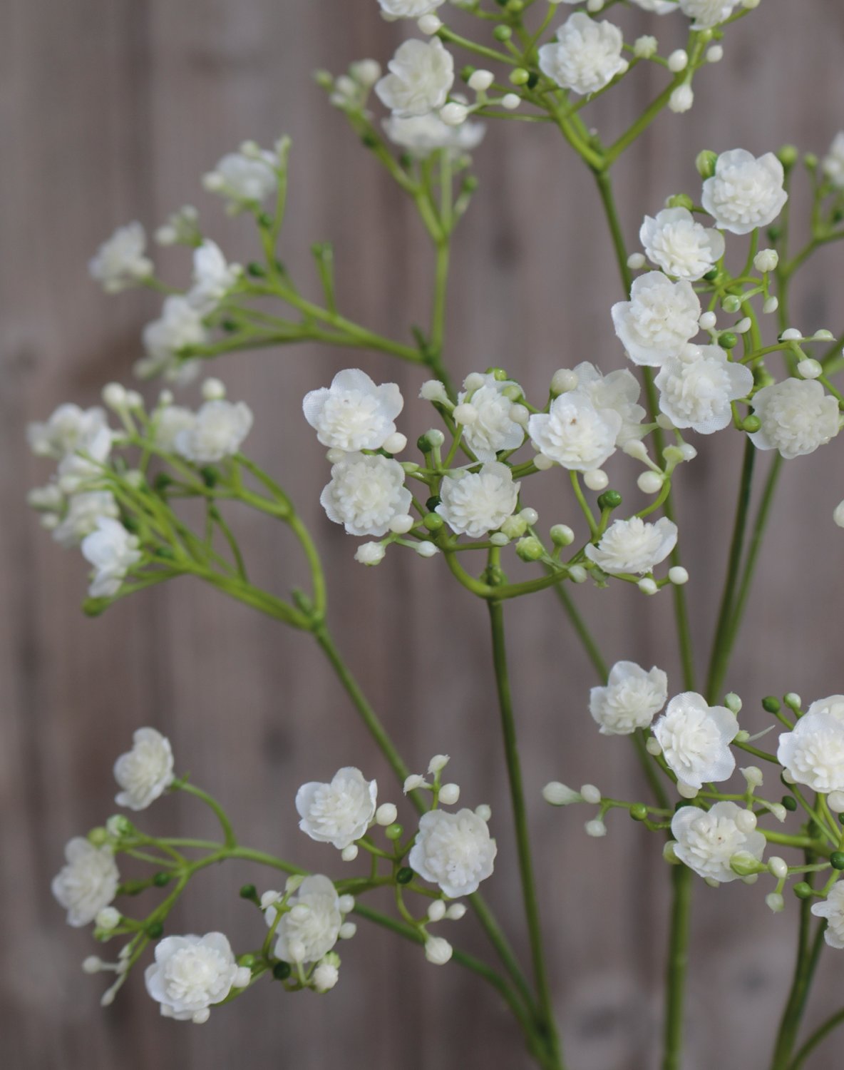 Künstliche Gypsophilia, 70 cm, creme-weiß