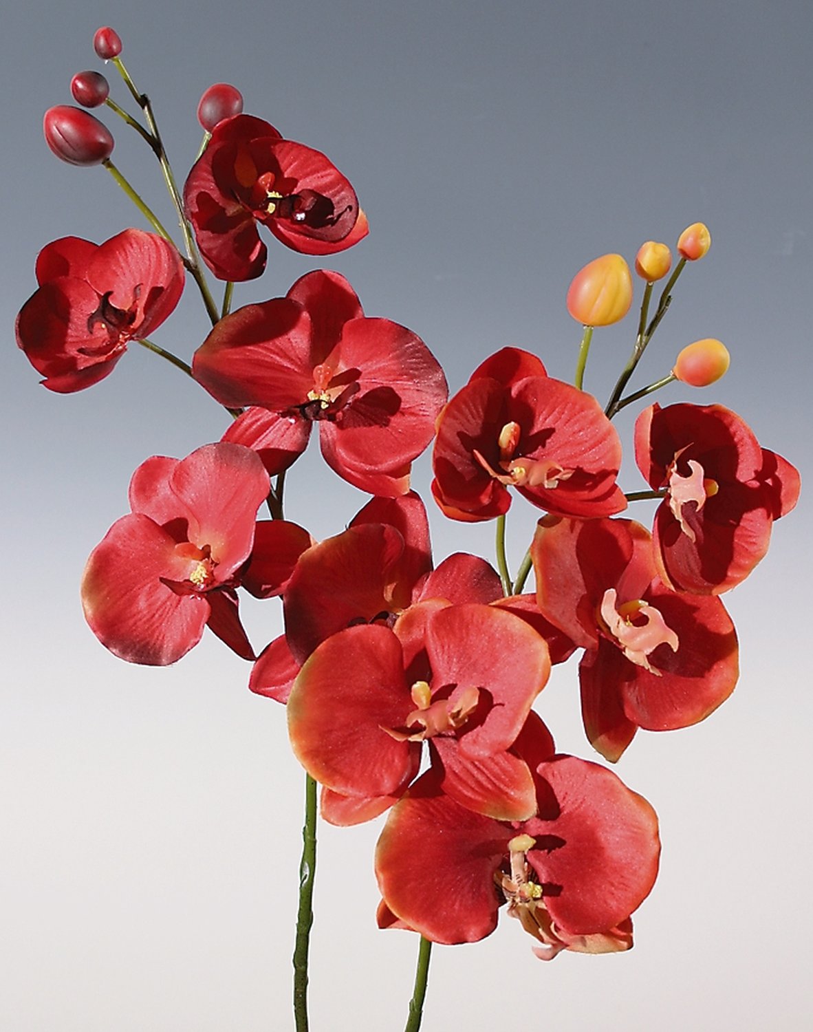 Künstliche Orchidee Phalaenopsis, 75 cm, dunkelorange