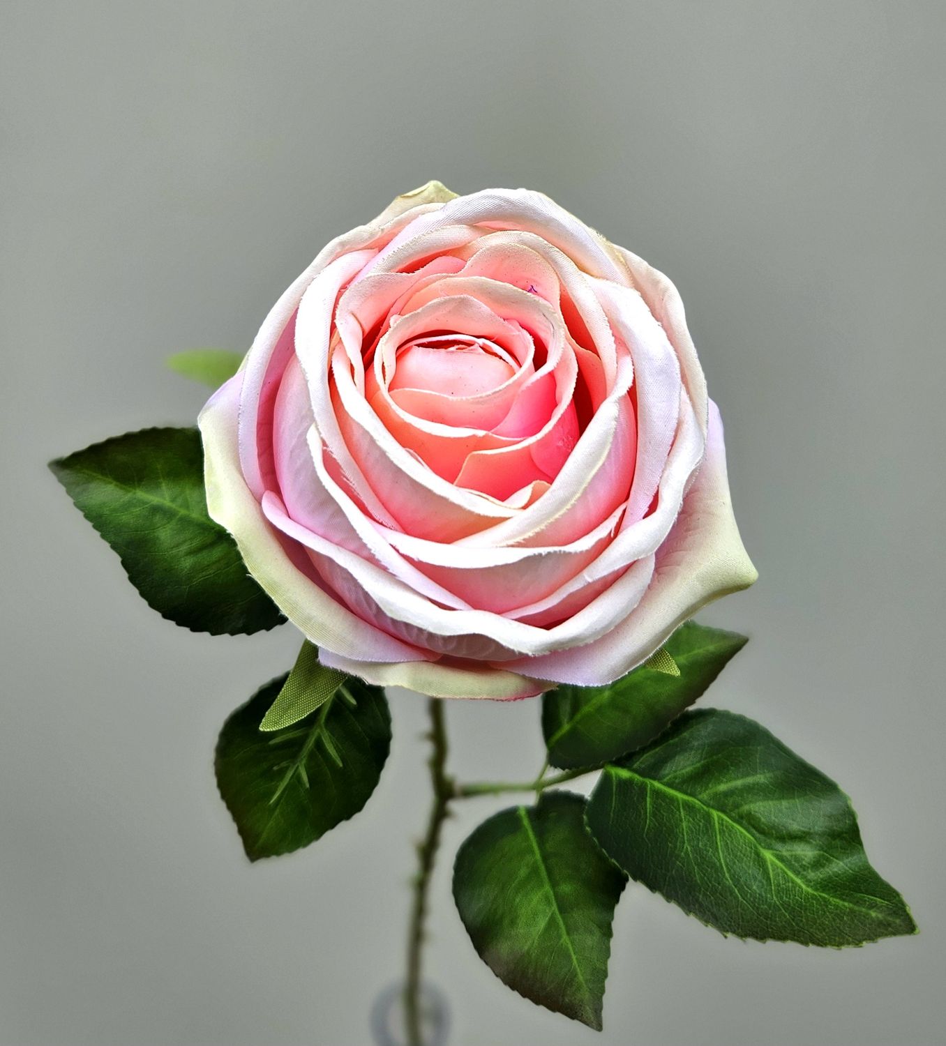 Englische Kunstrose, 66 cm, hellrosa Englische Kunstrose, 66 cm, hellrosa