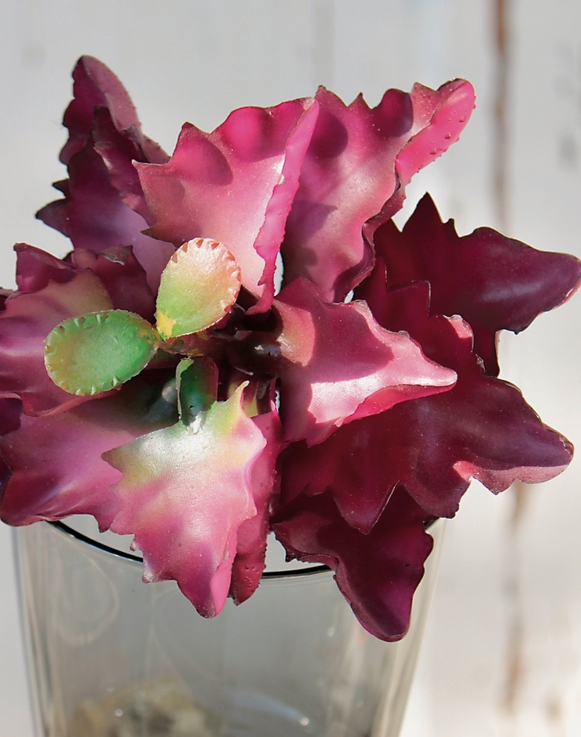 Succulent fake plants on stick, 12 cm, Ø 12 cm, green-burgundy