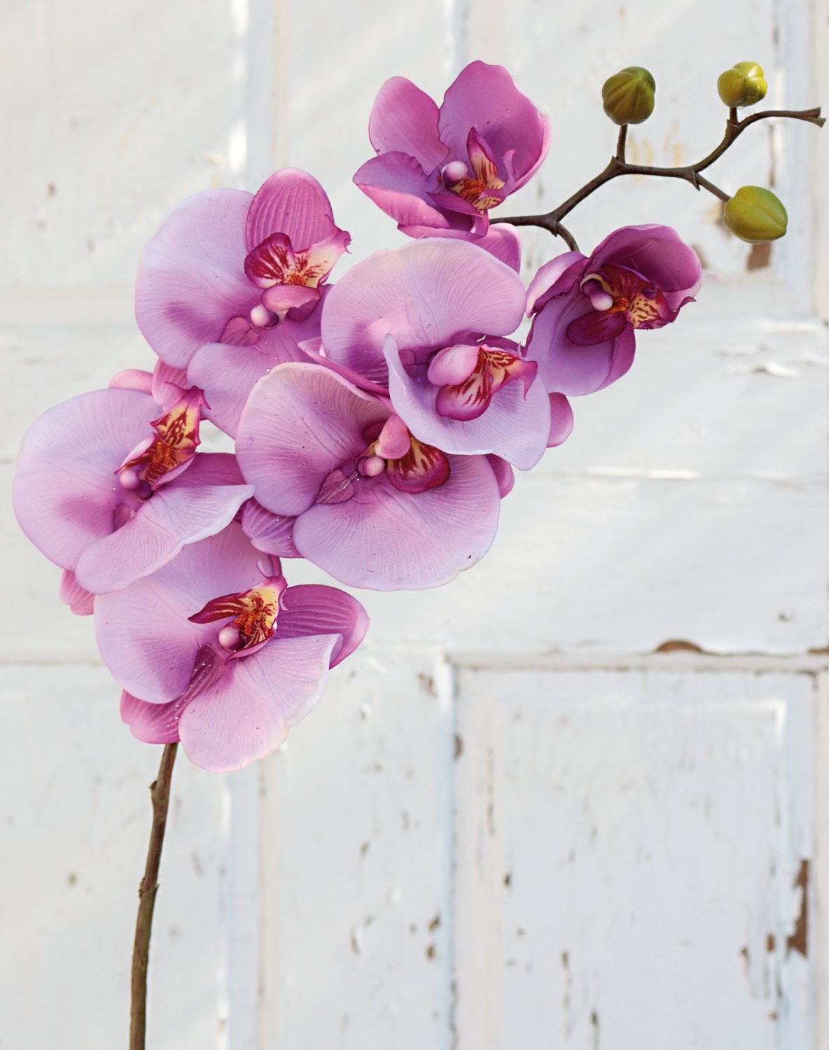 Künstliche Orchidee Phalaenopsis, 103 cm, Real Touch, hellviolett-dunkelviolett