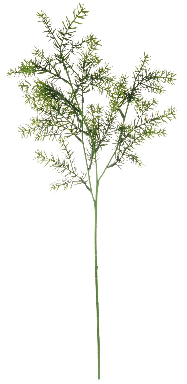 Artificial asparagus branch, 66 cm, green