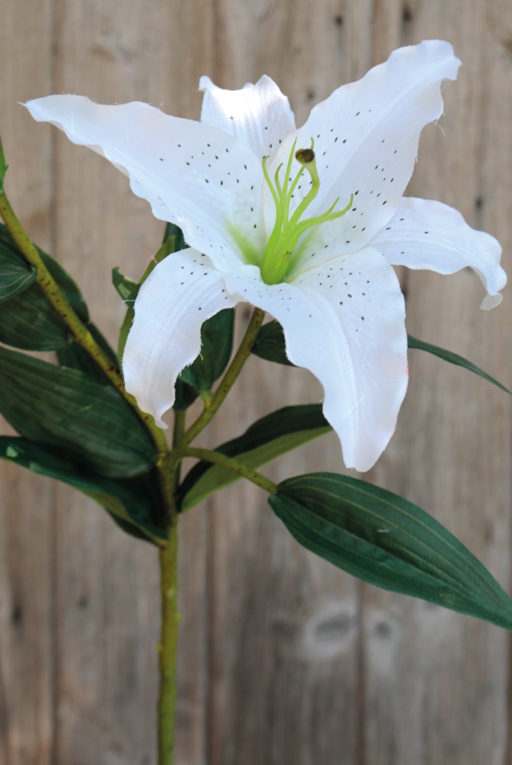 Artificial lily, 1 flower, 1 bud, 76 cm, white-green