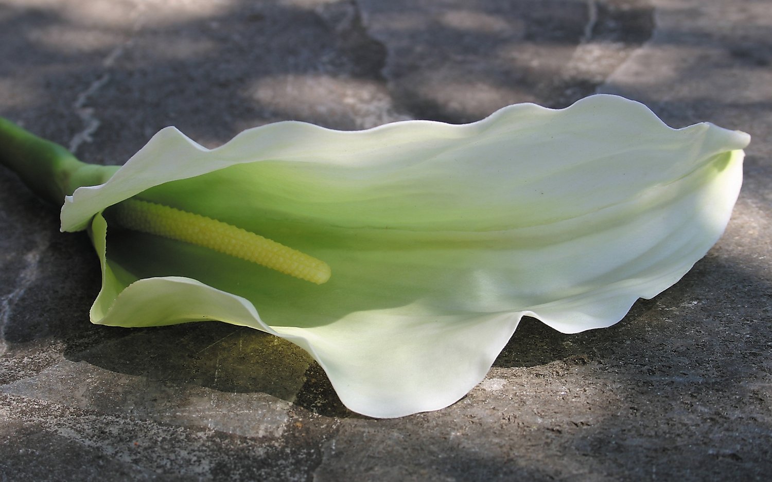 Künstliche Calla, 98 cm, Real Touch, grün-weiß