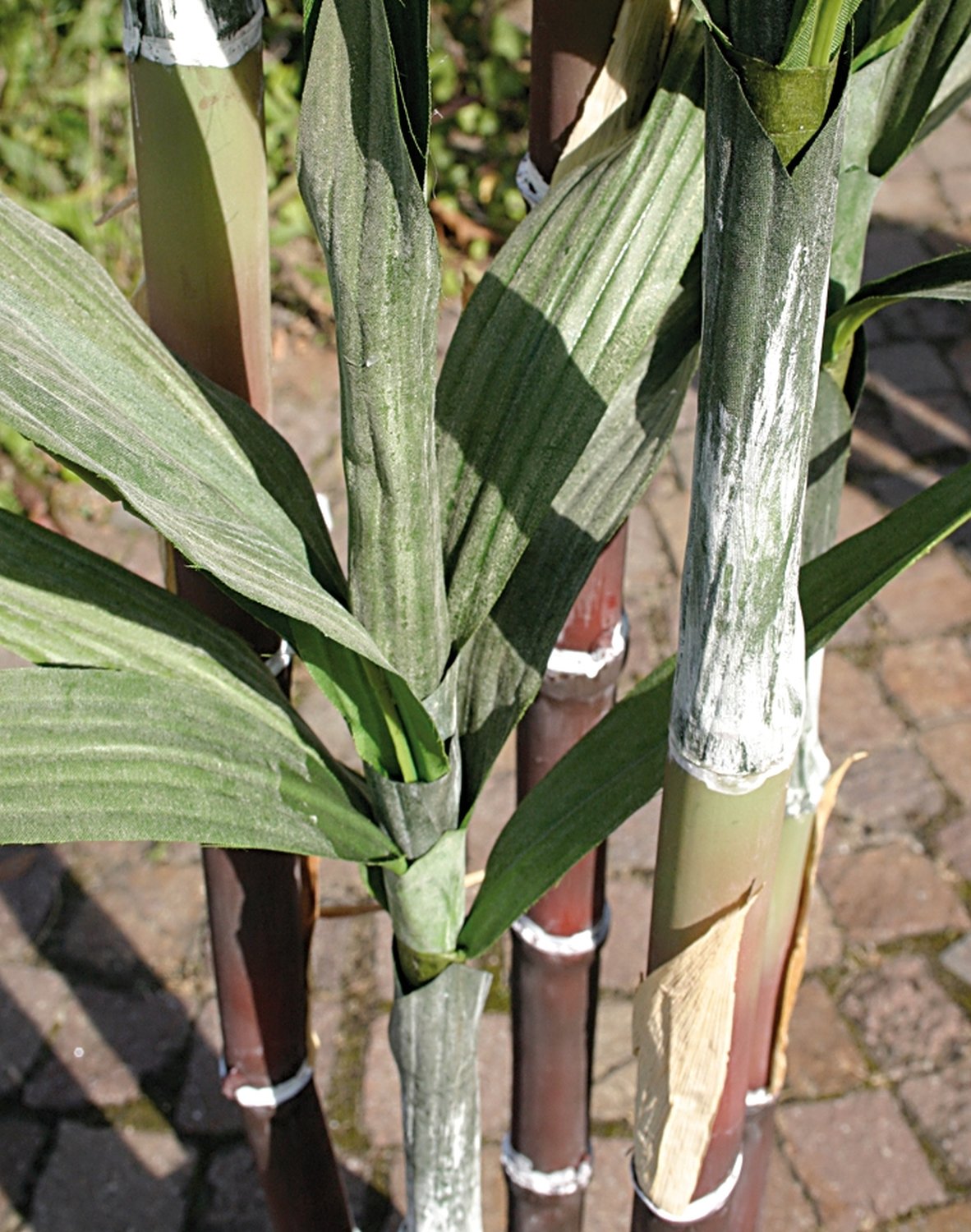 Canna da zucchero artificiale, 5 tronchi, in vaso, 150 cm, verde