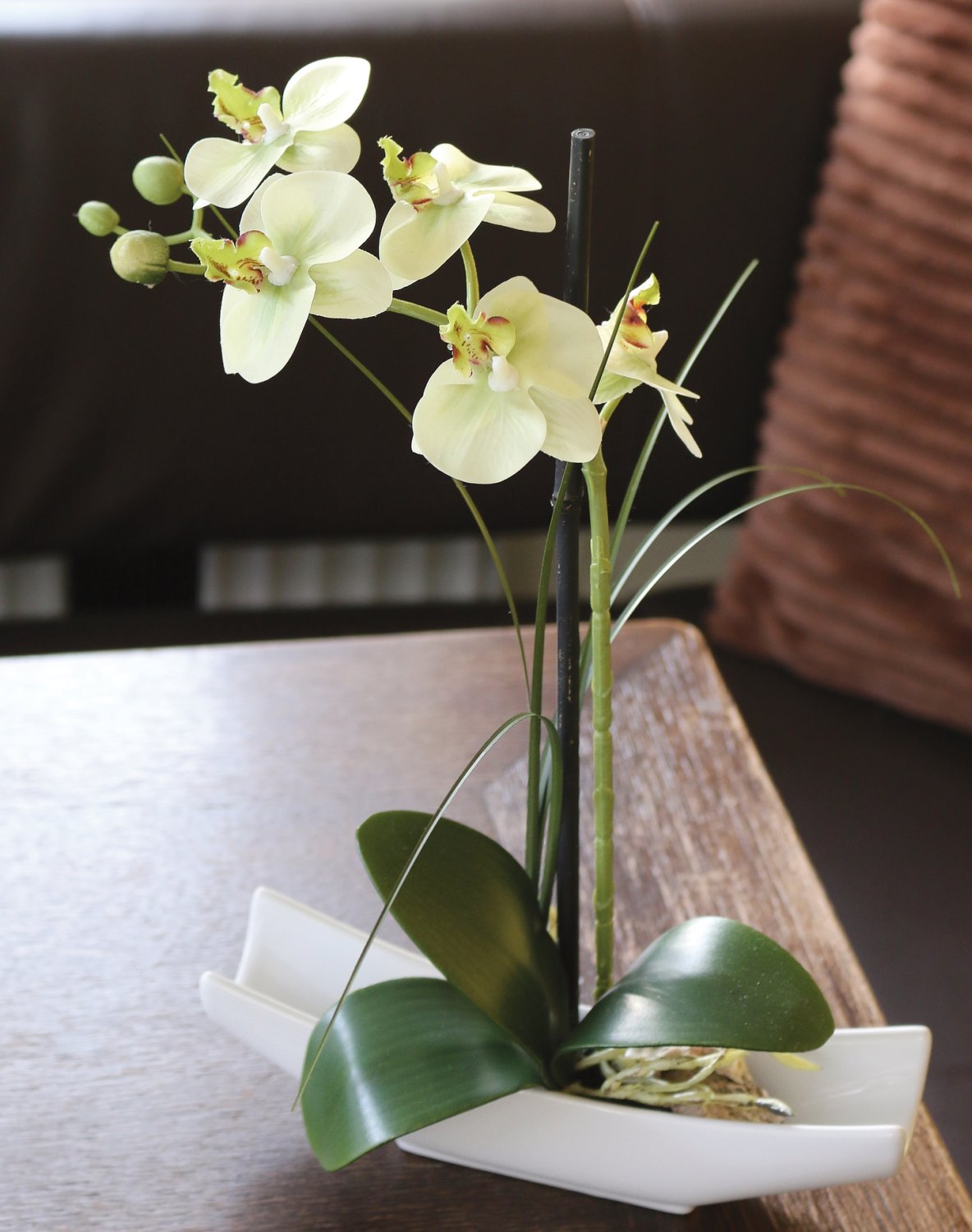 Plastic orchid Phalaenopsis in bowl, 30 cm, real touch soft, beige-green