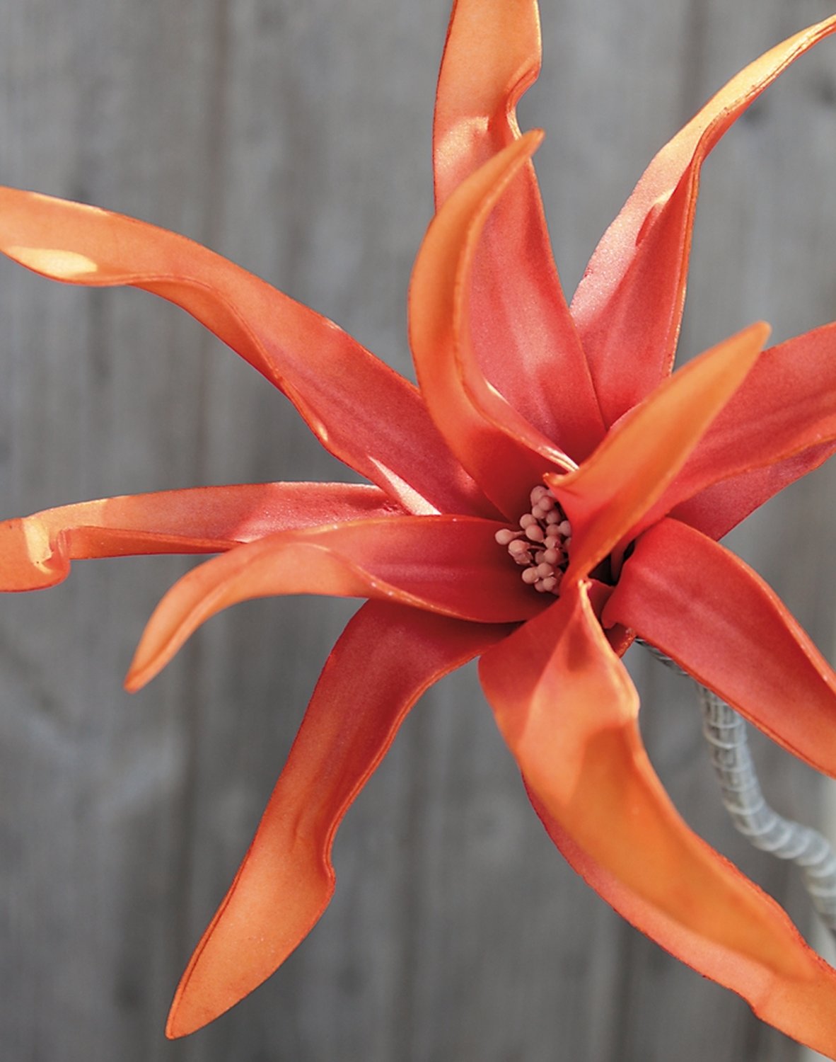 Artificial soft flower 'exotic', 5 flowers, 115 cm, orange