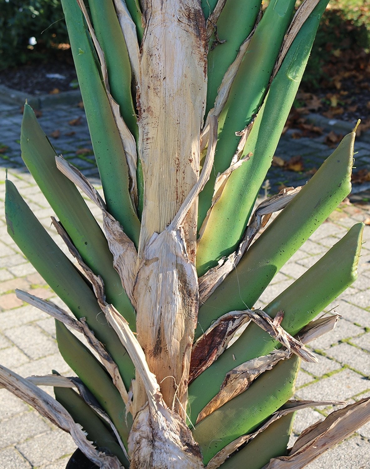 Faux heliconia, potted, 300 cm, green