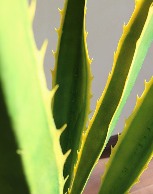 Künstliche Agave, getopft, 11 Blätter, 80 cm, grün-gelb