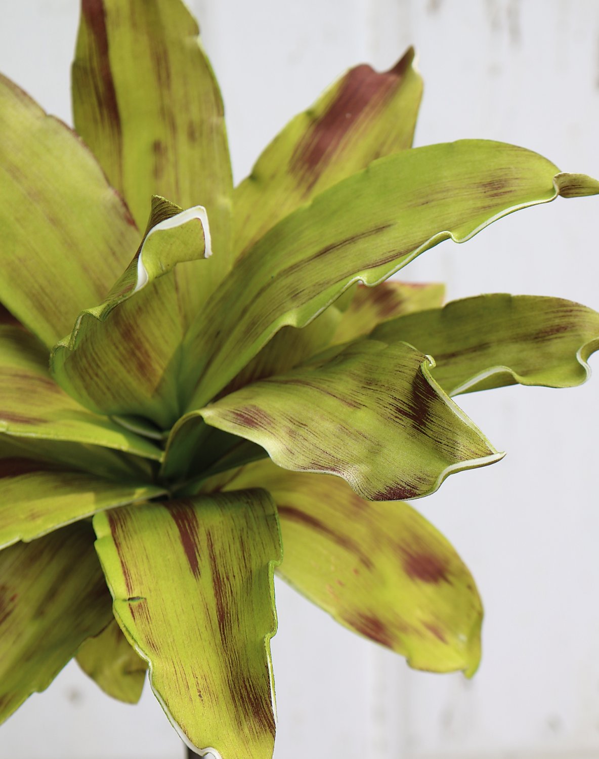 Künstliche Soft flower 'Agave', 90 cm, grün-burgunderrot