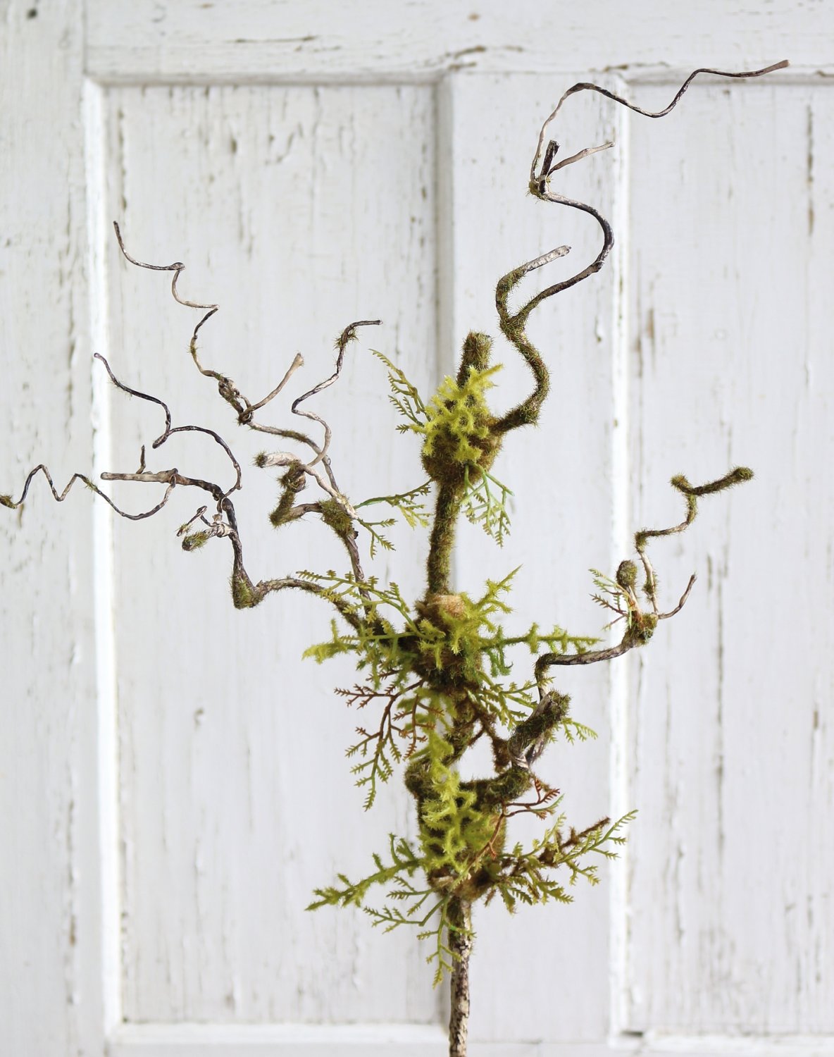 Artificial decorative twig 'curly' with moss & fern, 72 cm, brown-green