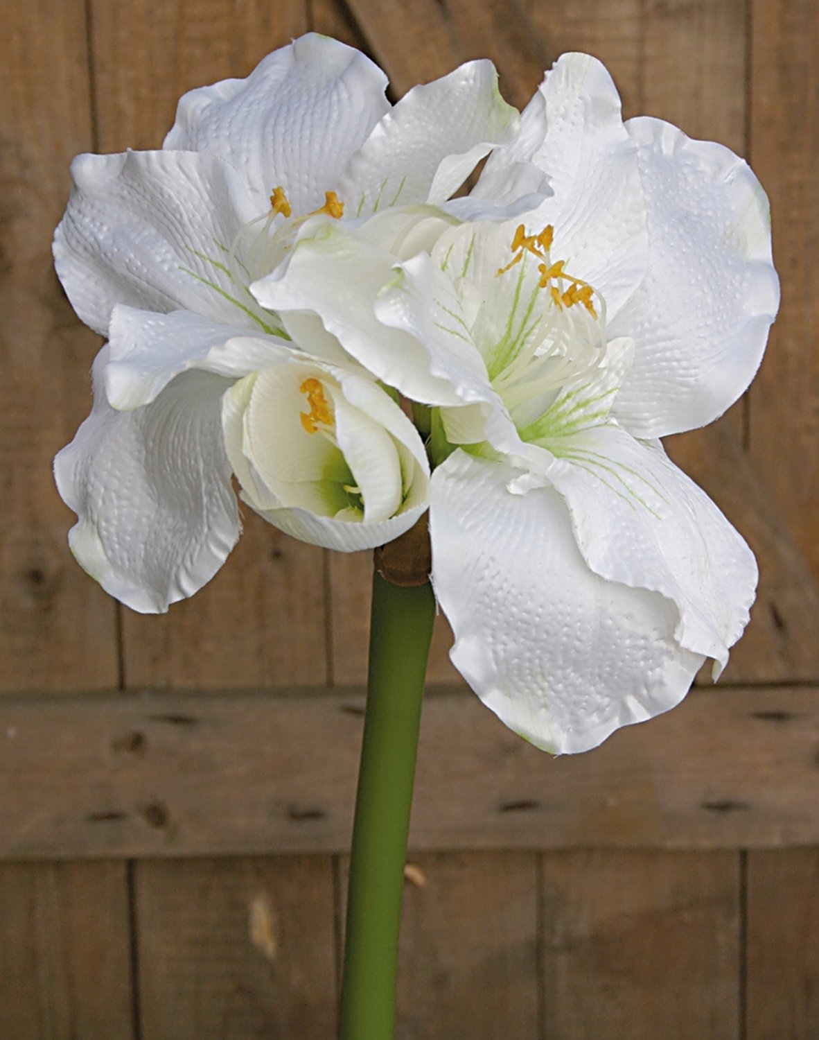 Künstliche Amaryllis, 75 cm, weiß-grün
