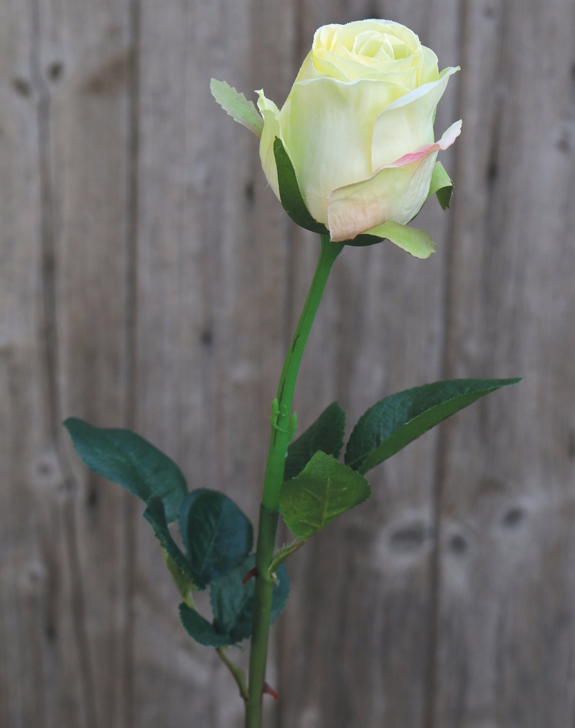 Künstliche Rose, 58 cm, creme-grün