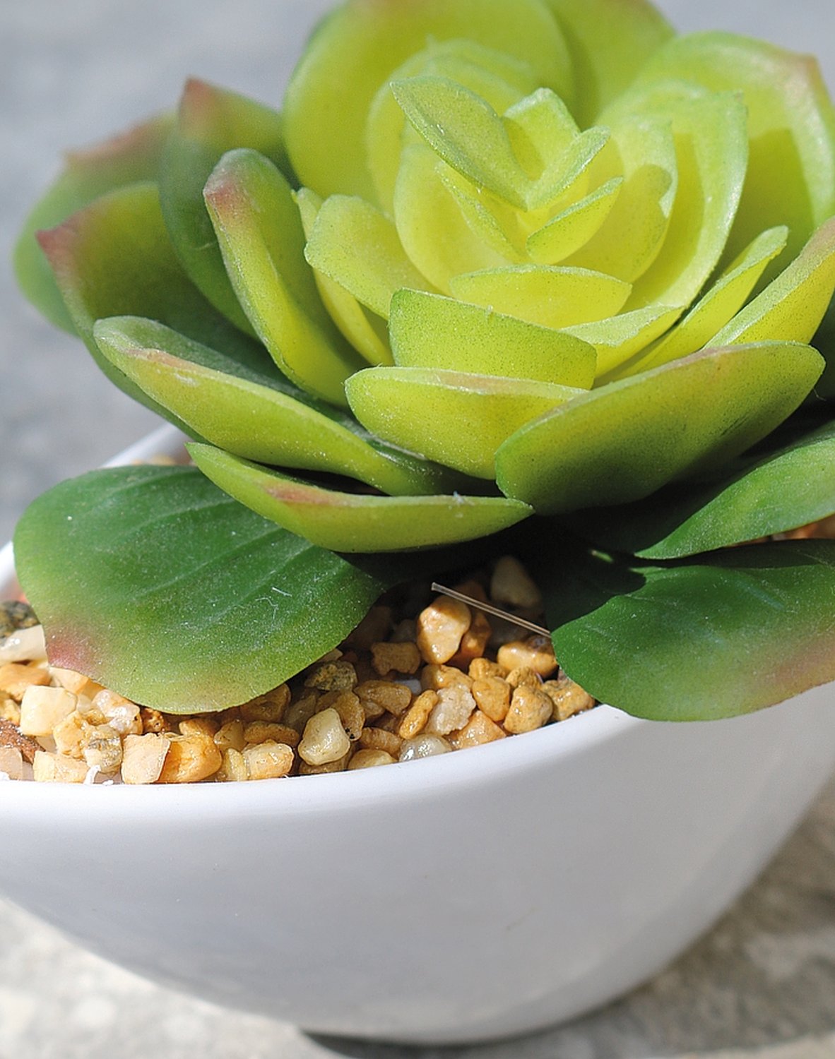 Künstliche Echeveria in Keramiktopf, 9cm, grün