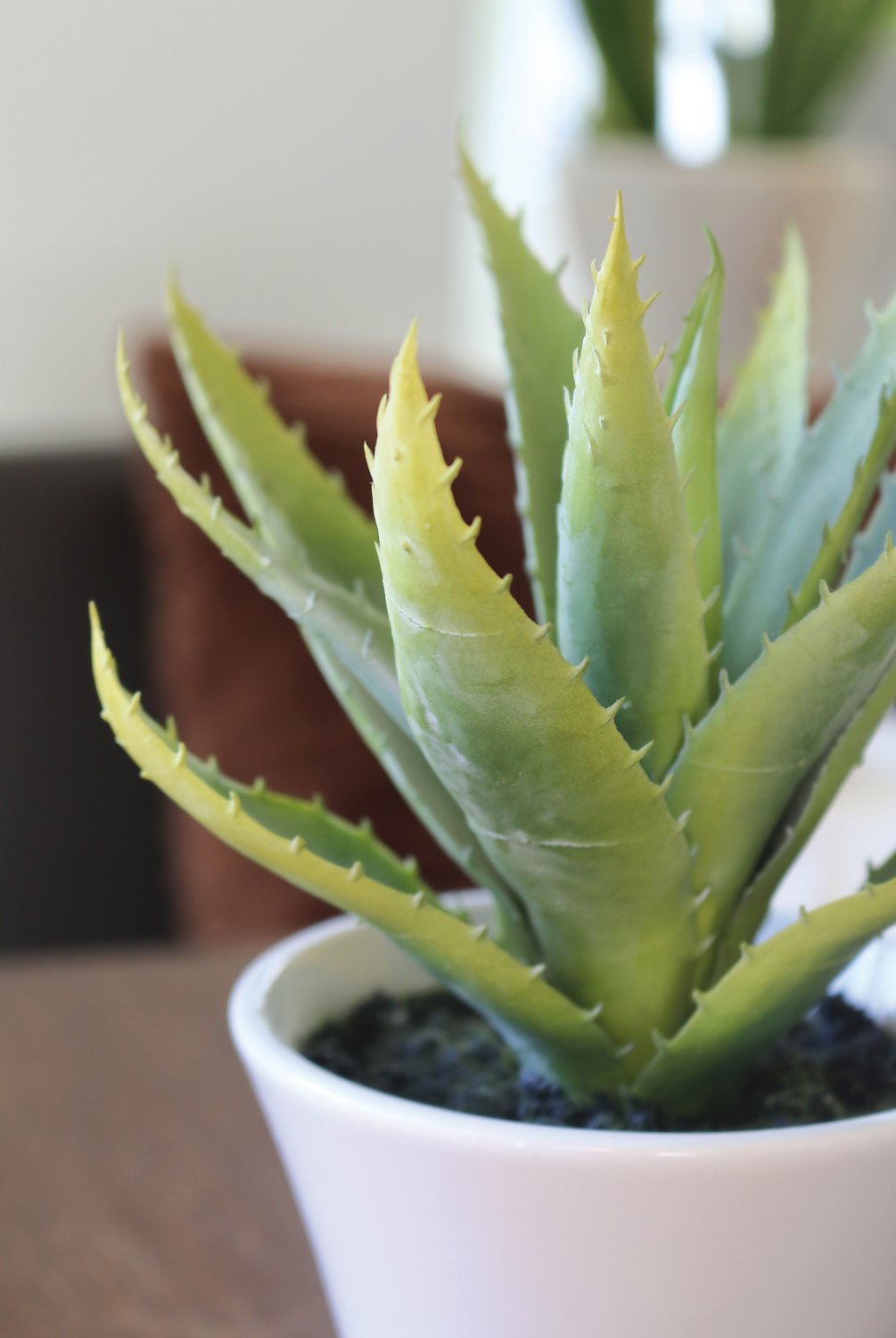 Aloe artificiale, in vaso, 20 cm, verde