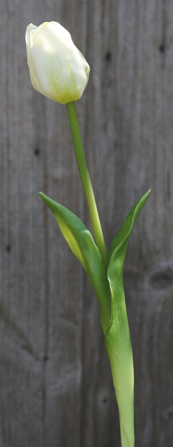 Künstliche Tulpe, französisch, 47 cm, Real Touch, weiß-grün