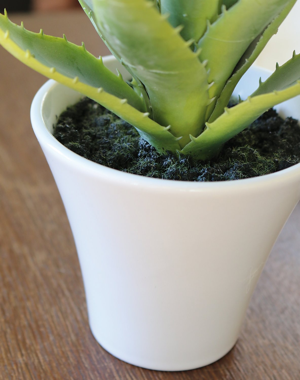 Aloe artificiale, in vaso, 20 cm, verde