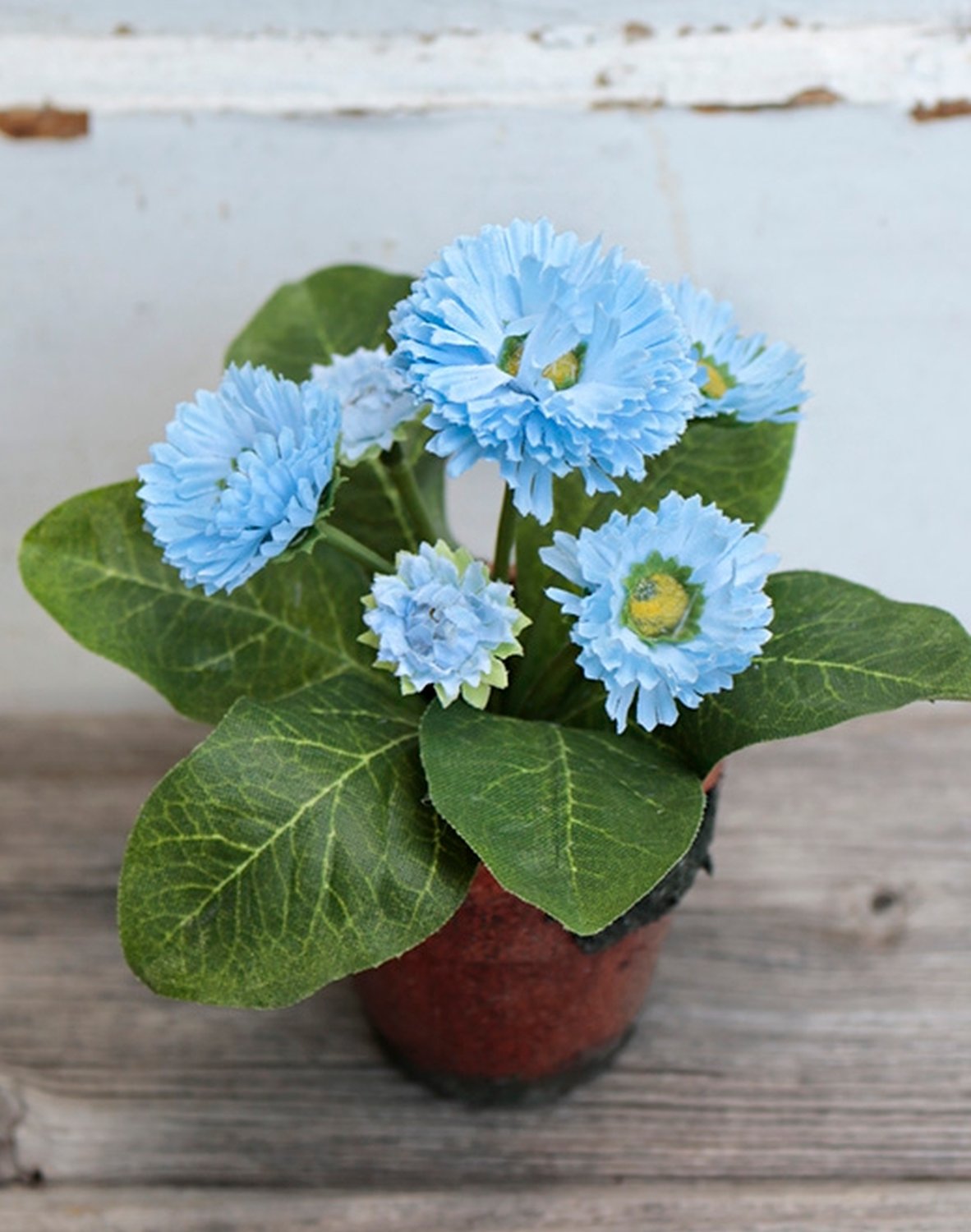 Künstliche Bellis, getopft, 6-fach, 15 cm, hellblau