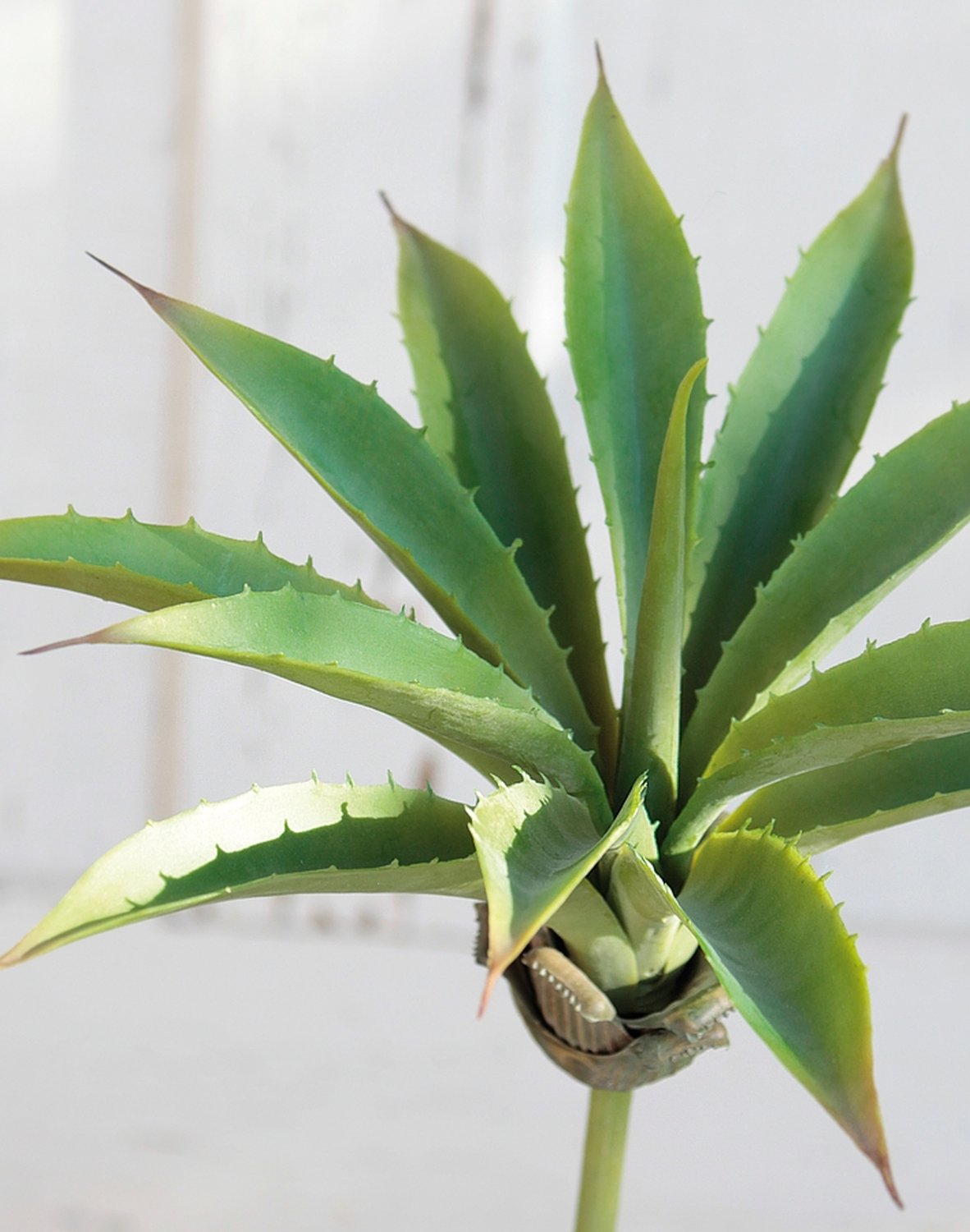 Künstliche Agave auf Steckstab, 24 cm, Ø 26 cm, grün