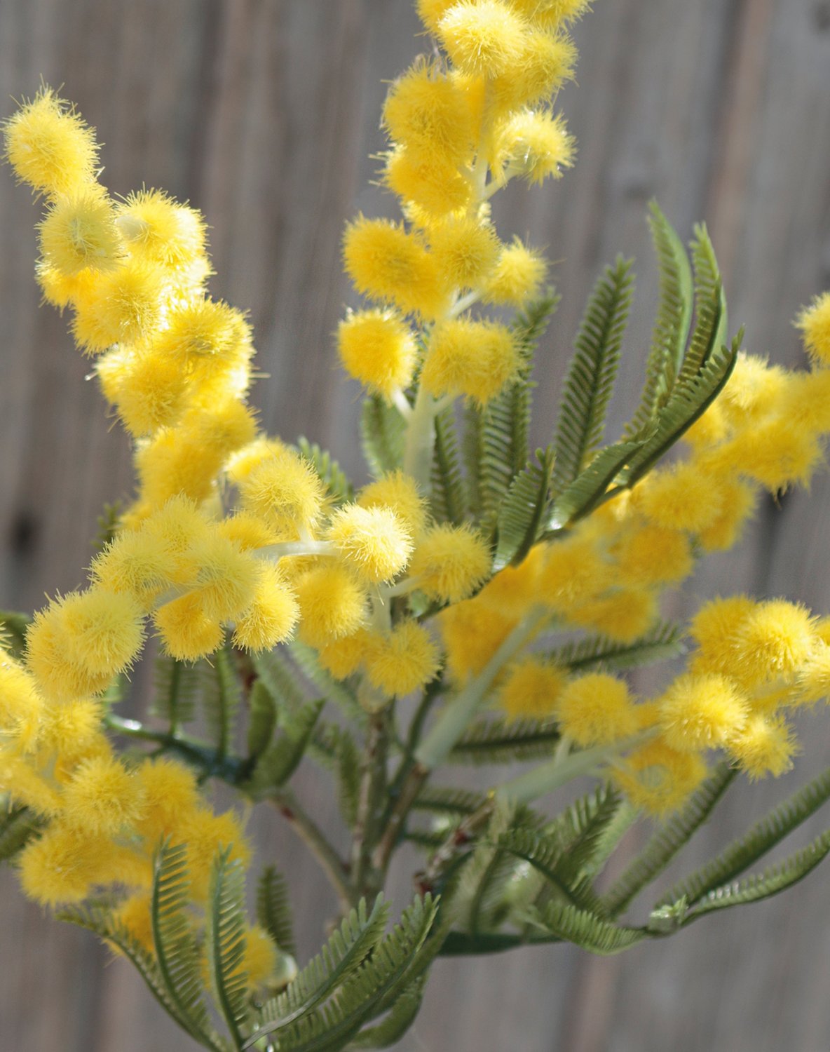 Artificial mimosa branch, 38 cm, yellow