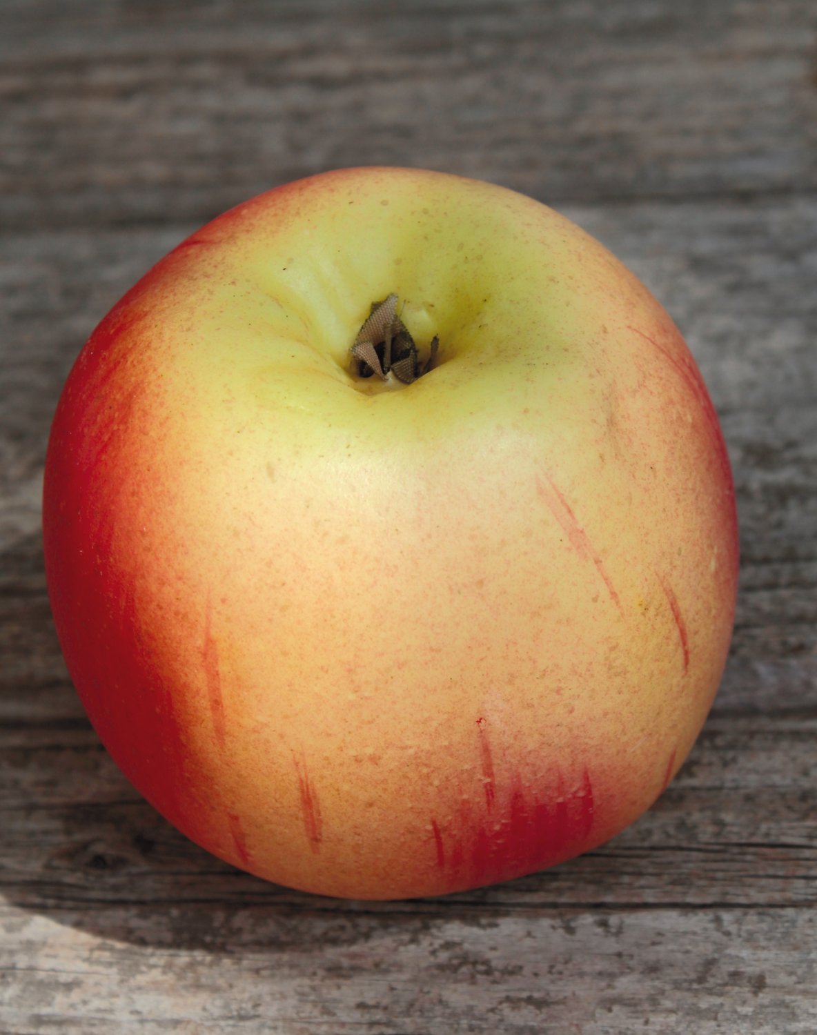 Künstlicher Apfel, 8 cm, rot-gelb