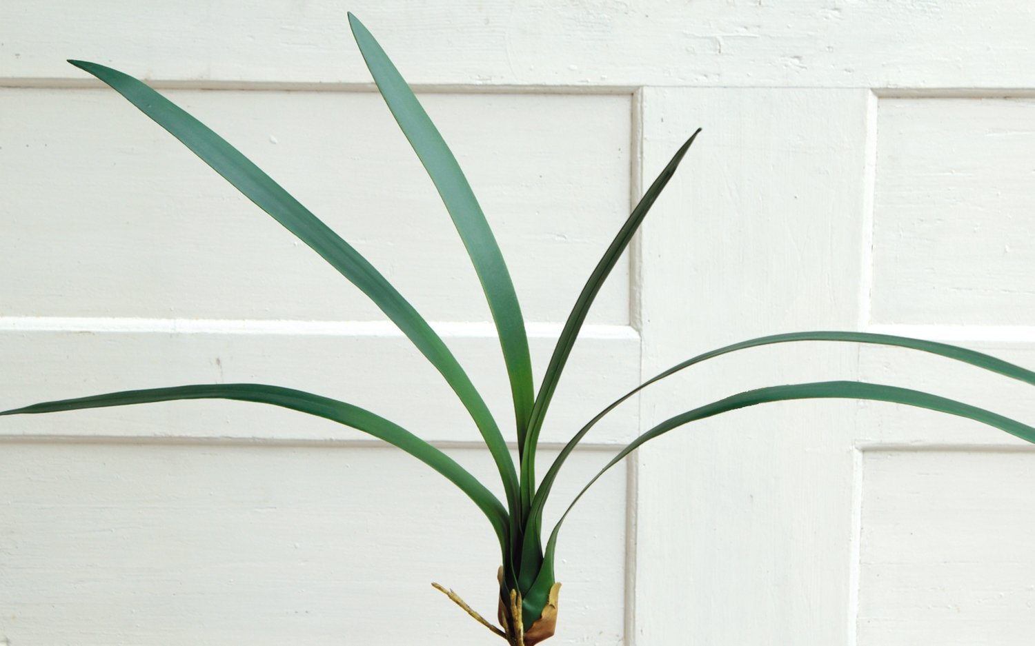 Foglie di orchidea artificiale cymbidium con radice, 6 rami, 69 cm, verde