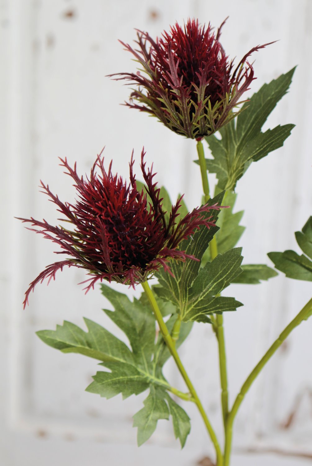 Faux thistle, 3 flowers, 67 cm, dark violet