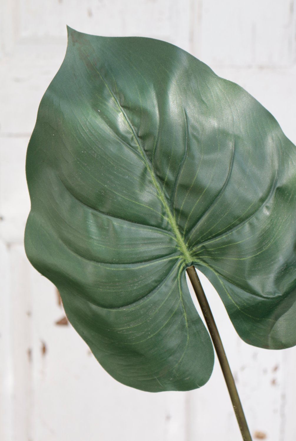 Plastic elephant ear leaf, 75 cm, green