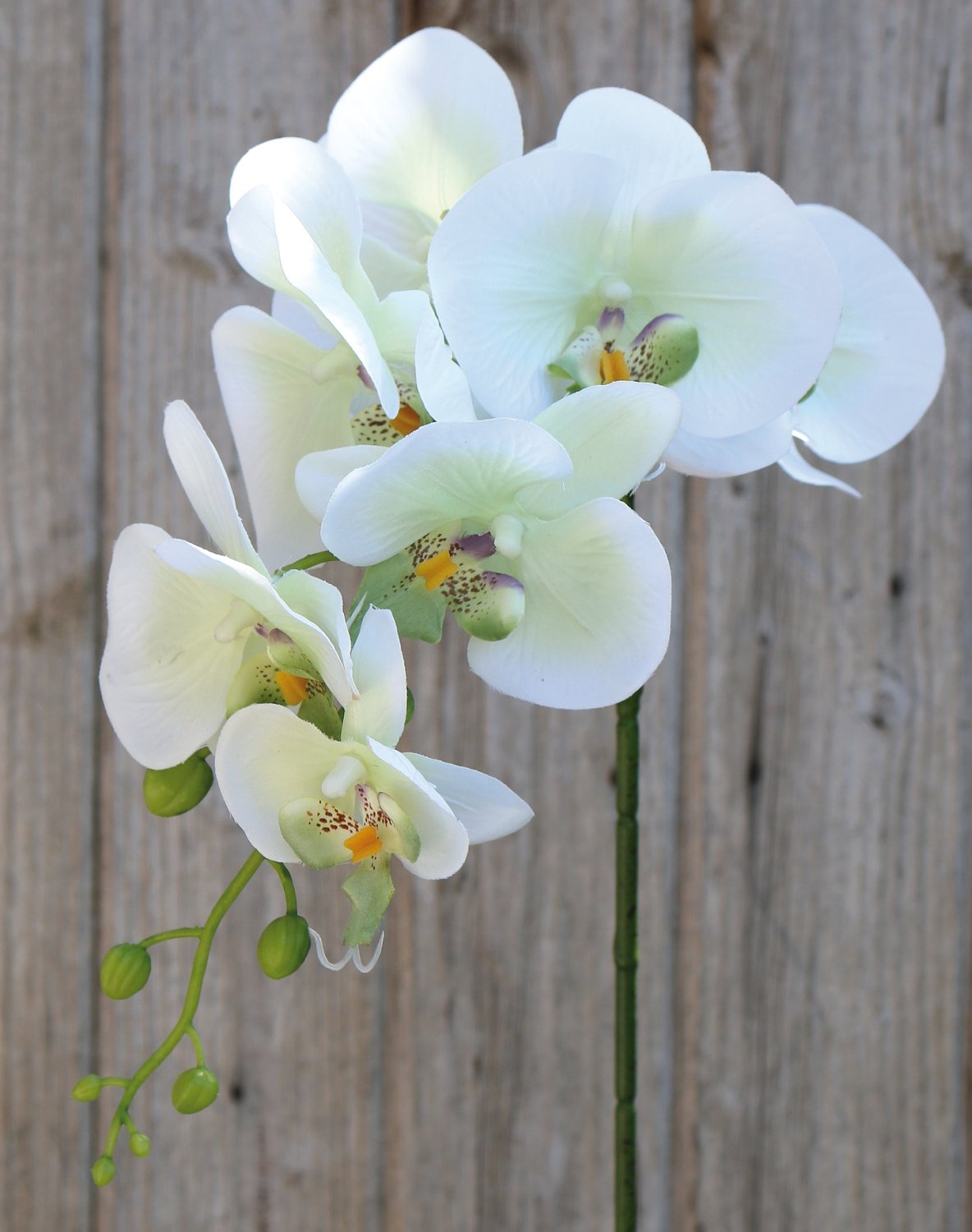 Künstliche Orchidee Phalaenopsis, 86 cm, creme-weiß