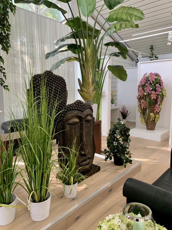 Wellness Pflanzen im Showroom von H.Andreas Dschungel Dekorationen im H.Andreas Showroom entdecken