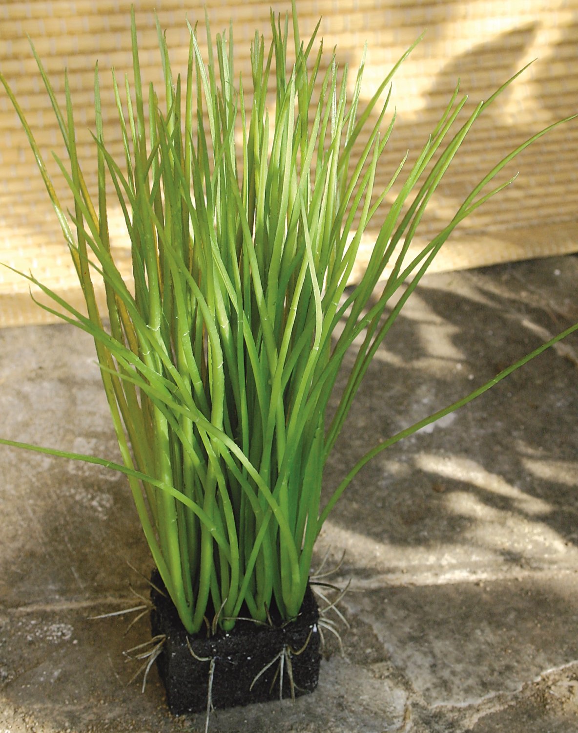 Artificial grass with 'soil', 29 cm, green