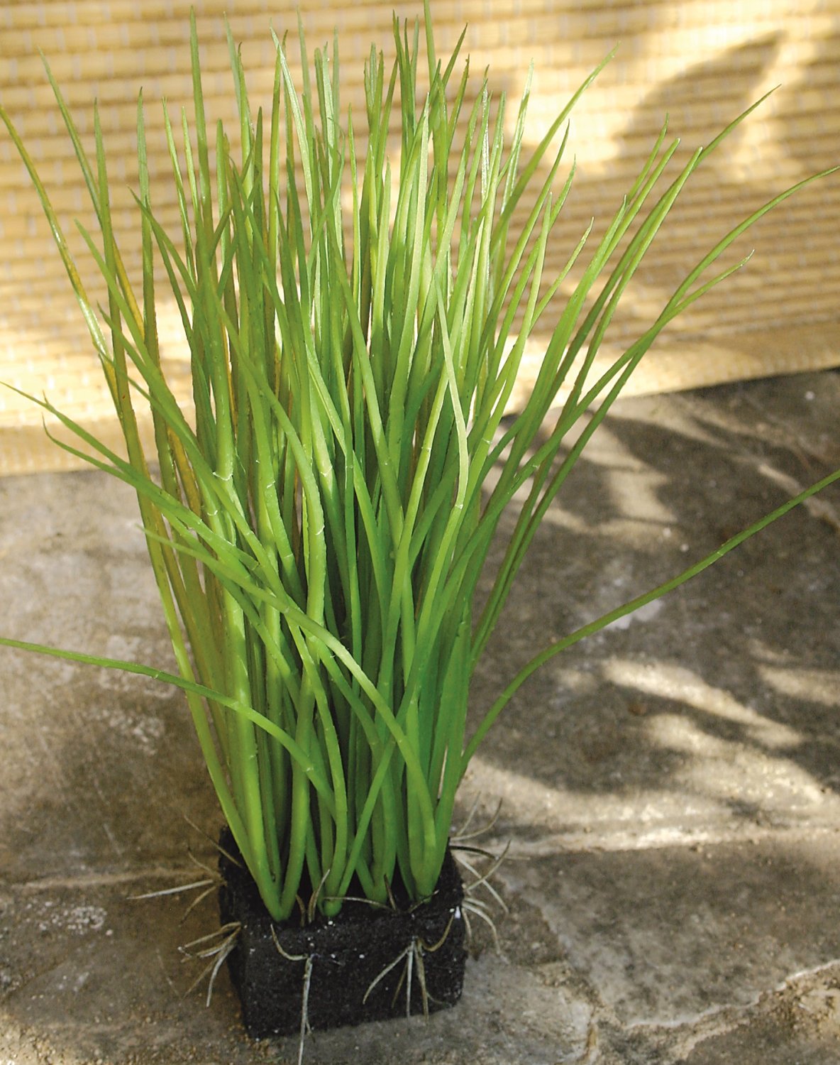 Künstliches Gras mit 'Erde', 29 cm, grün