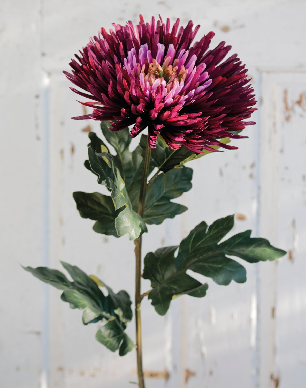 Künstliche Chrysantheme, 88 cm, trendy purple