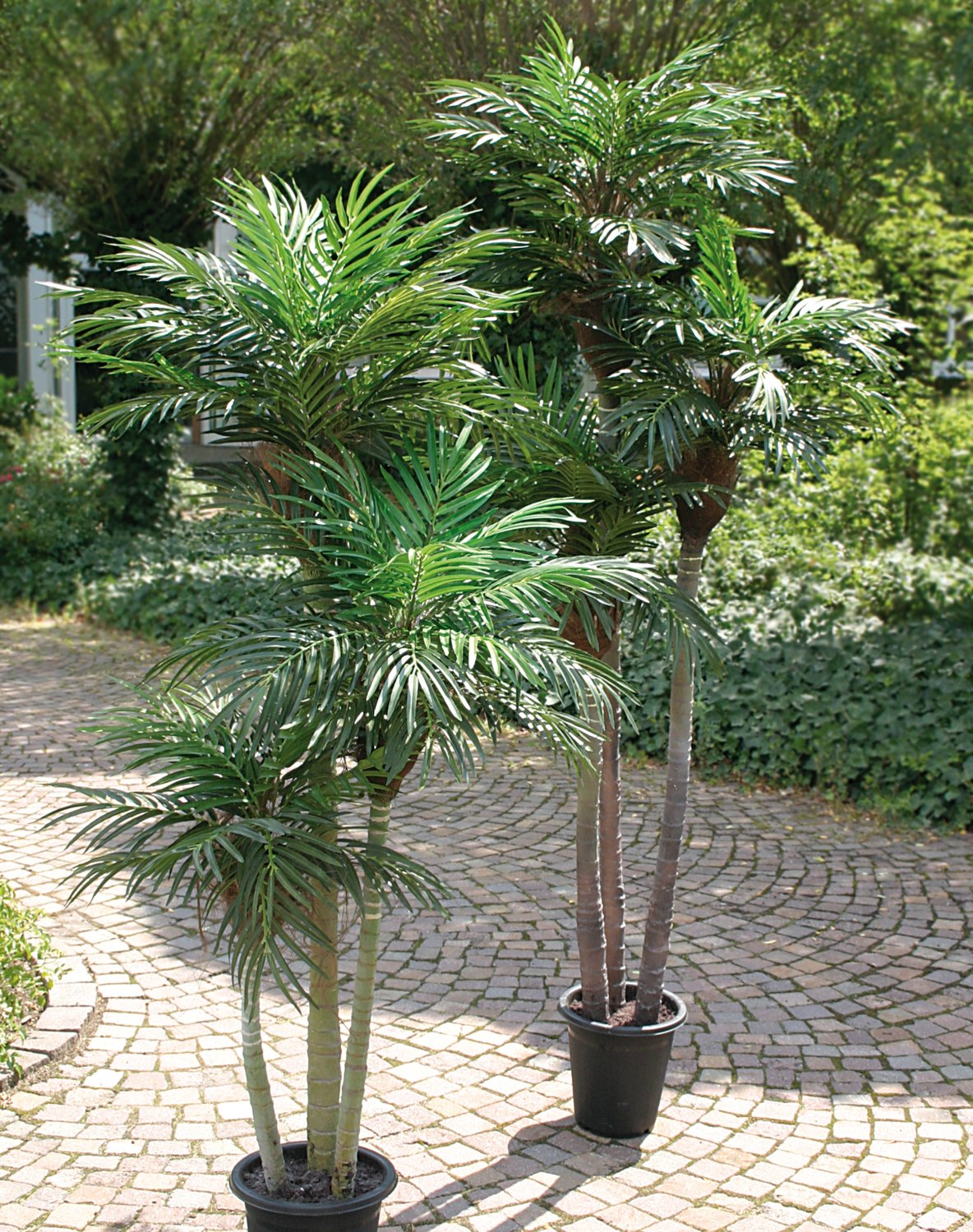 Artificial palm tree, 3-trunks, potted, 150 cm, green