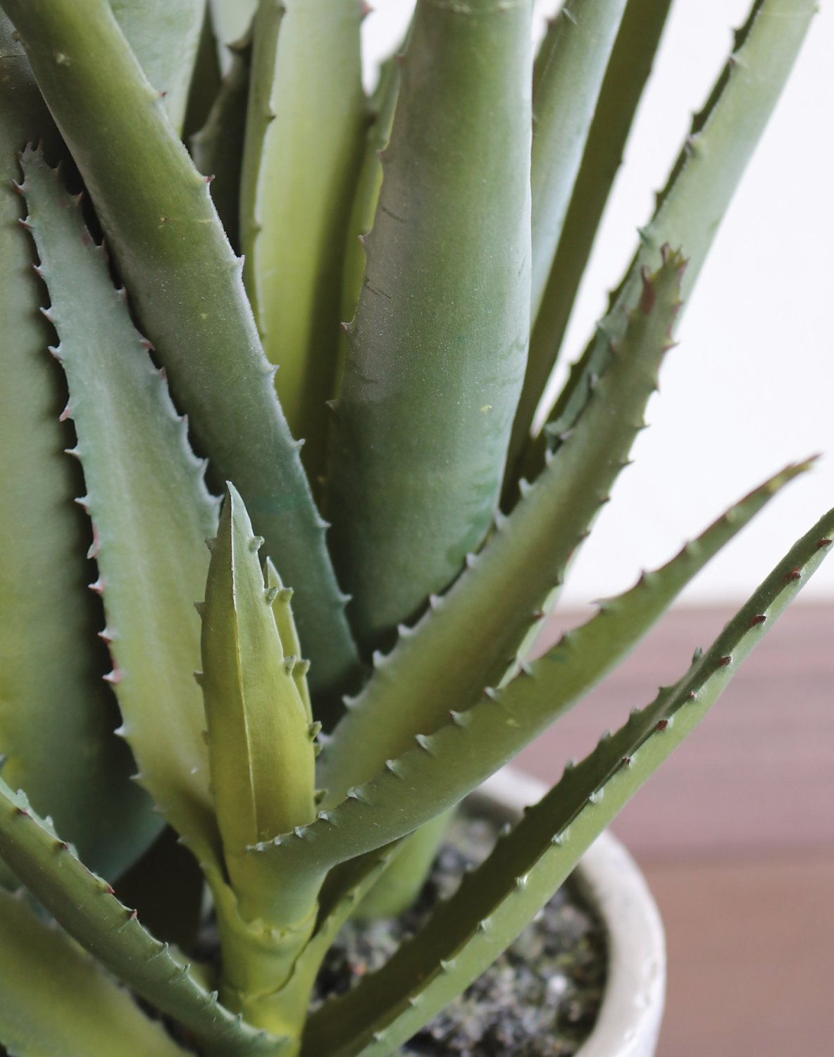 Fake aloe, potted, 40 cm, green