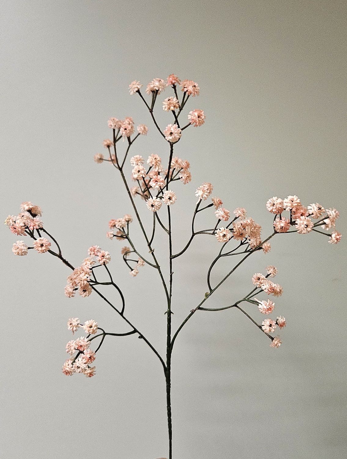 Künstlicher Gypsophiliazweig, 60 cm, Soft Feel, aprikose