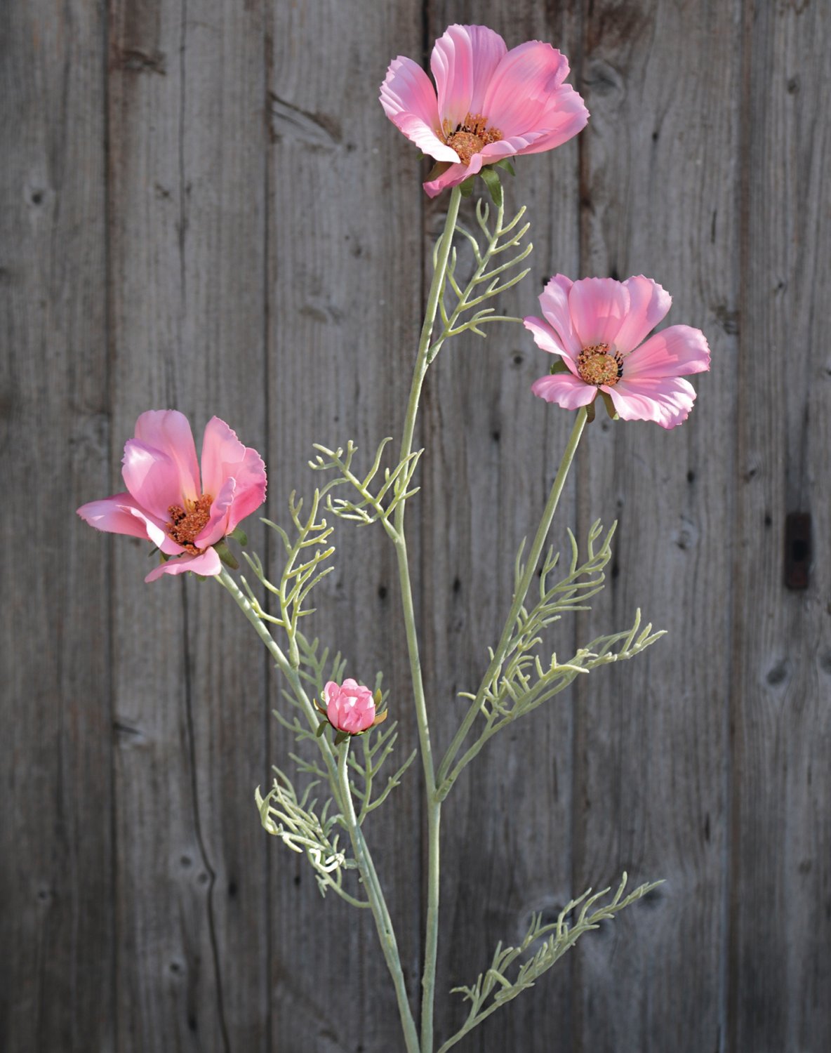 Artificial cosmos, 95 cm, light pink-dark rose