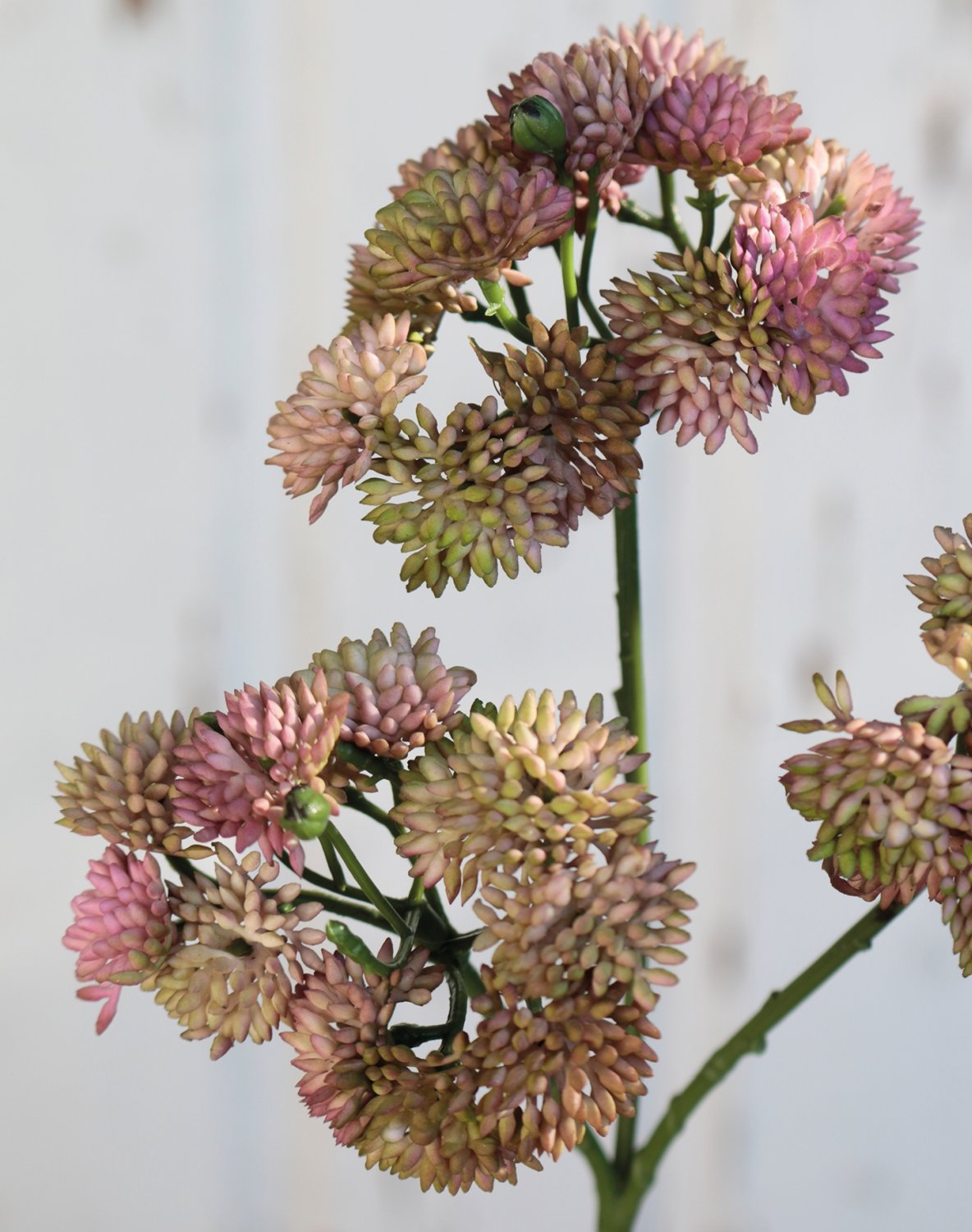 Artificial sedum branch, 32 cm, pink-green