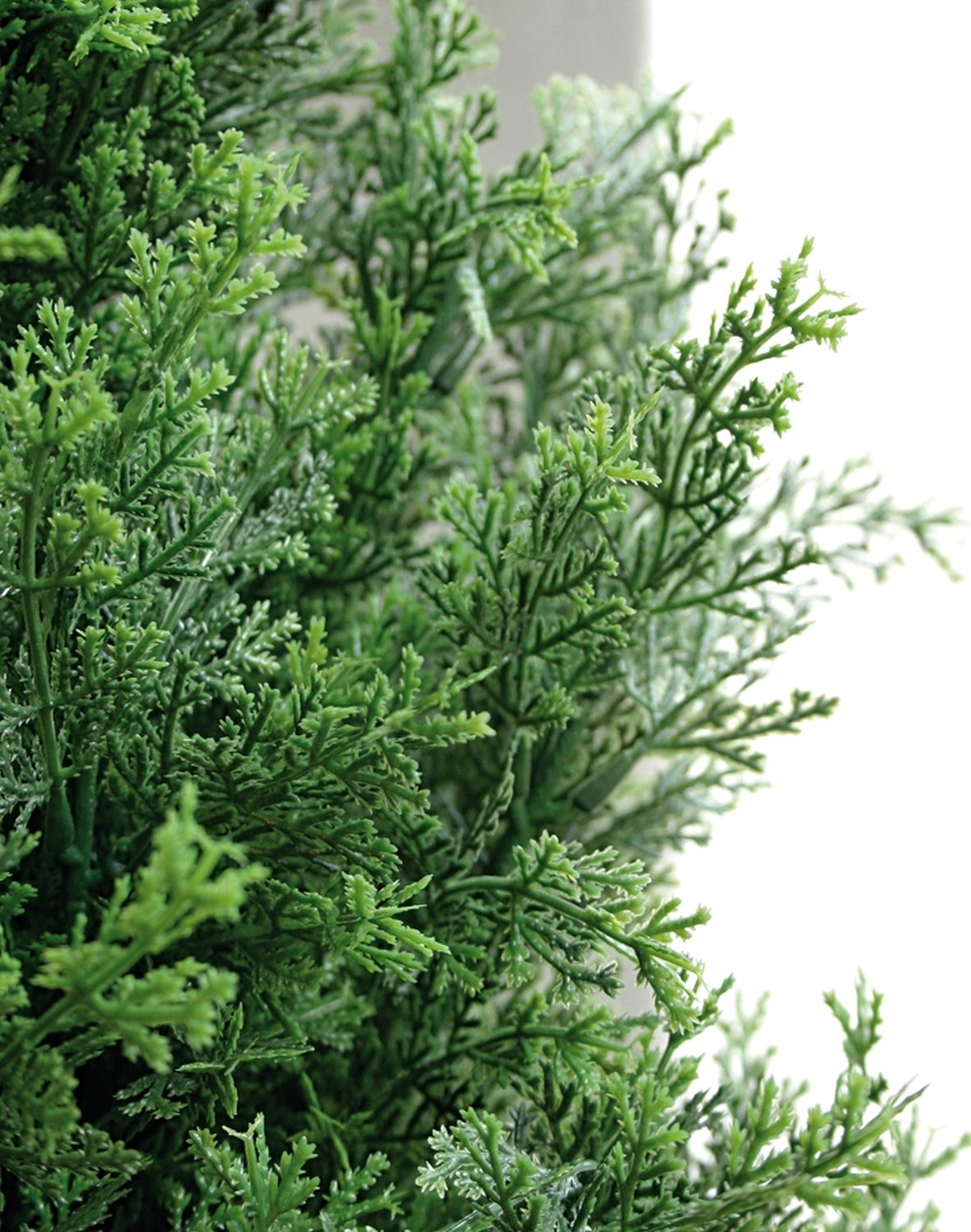 Synthetic cedar, potted, 180 cm, green