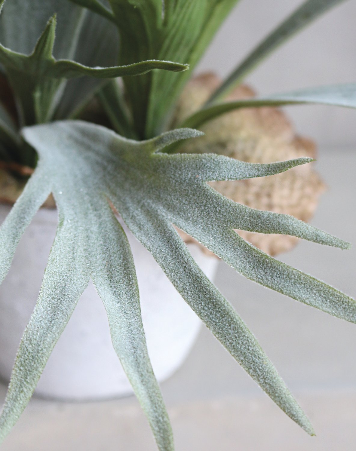 Artificial staghorn fern, potted, 50 cm, green