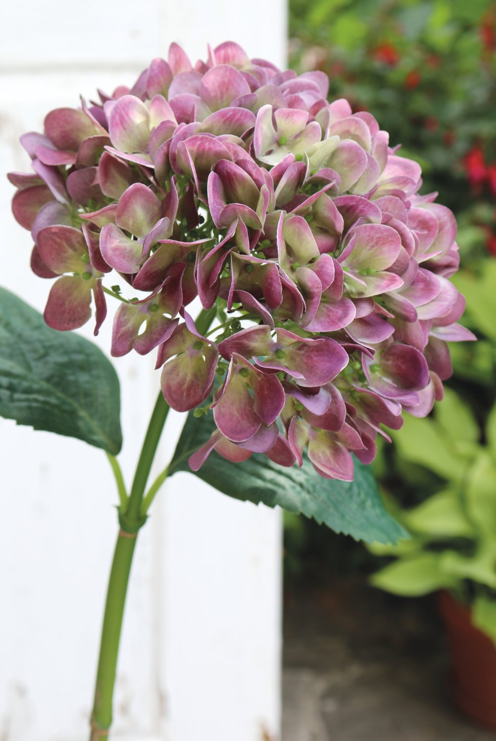 Hydrangea artificial, 65 cm, púrpura-verde Hydrangea artificial, 65 cm, púrpura-verde