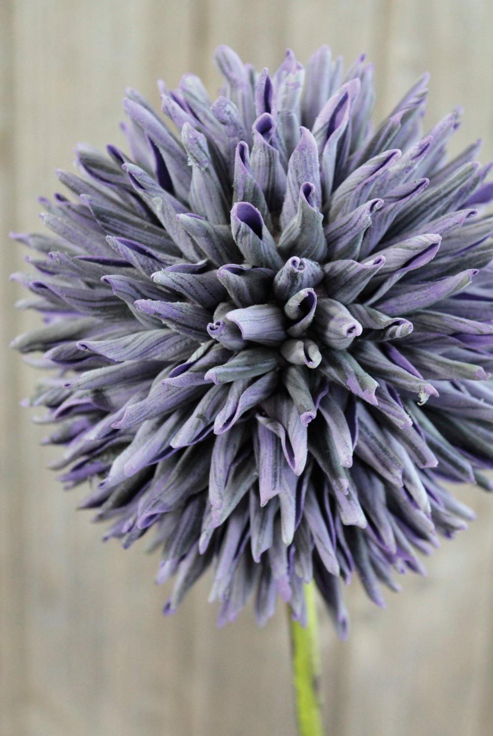Artificial soft flower 'allium', 80 cm, dark violet