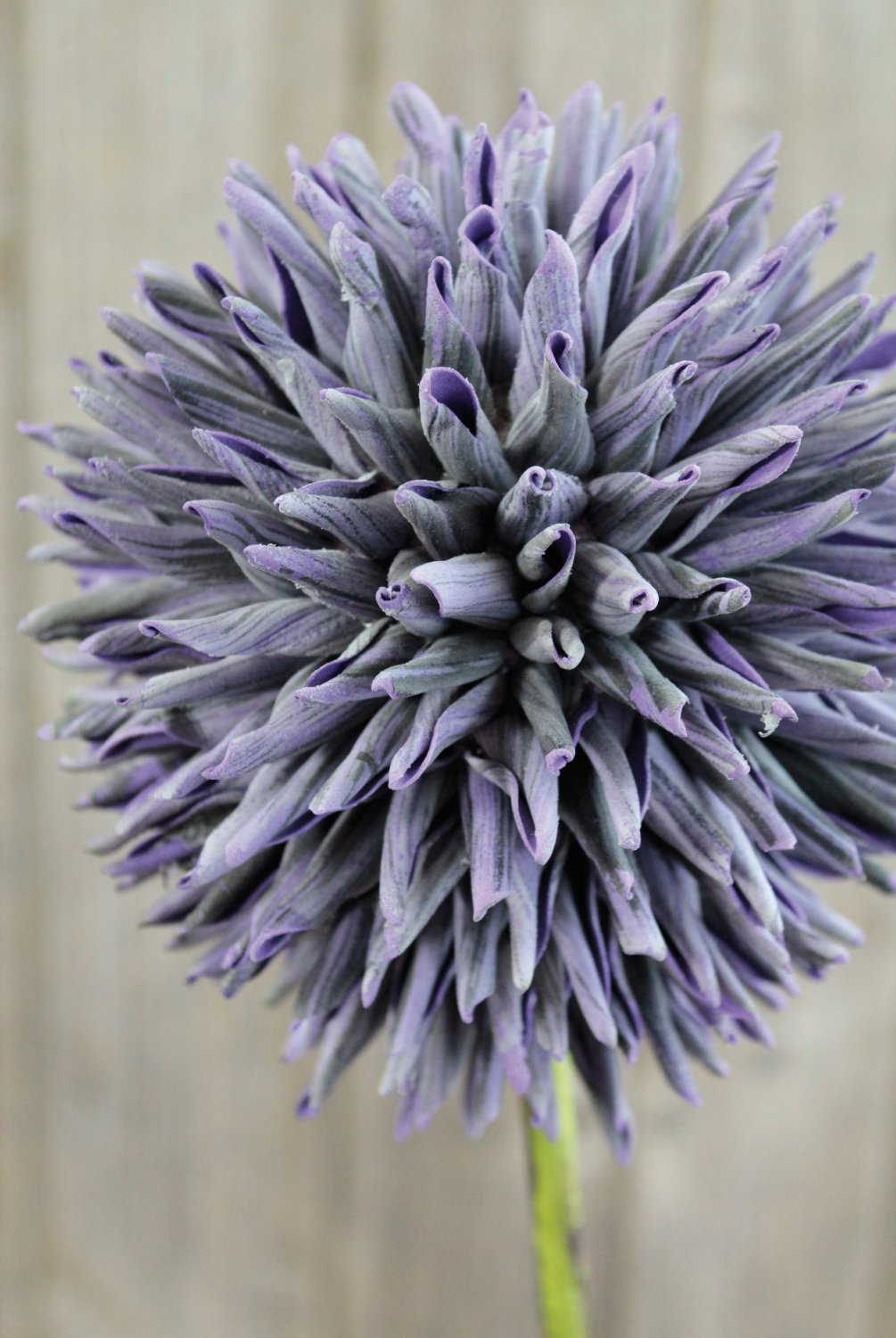 Künstlicher Soft flower 'Allium', 80 cm, dunkelviolett